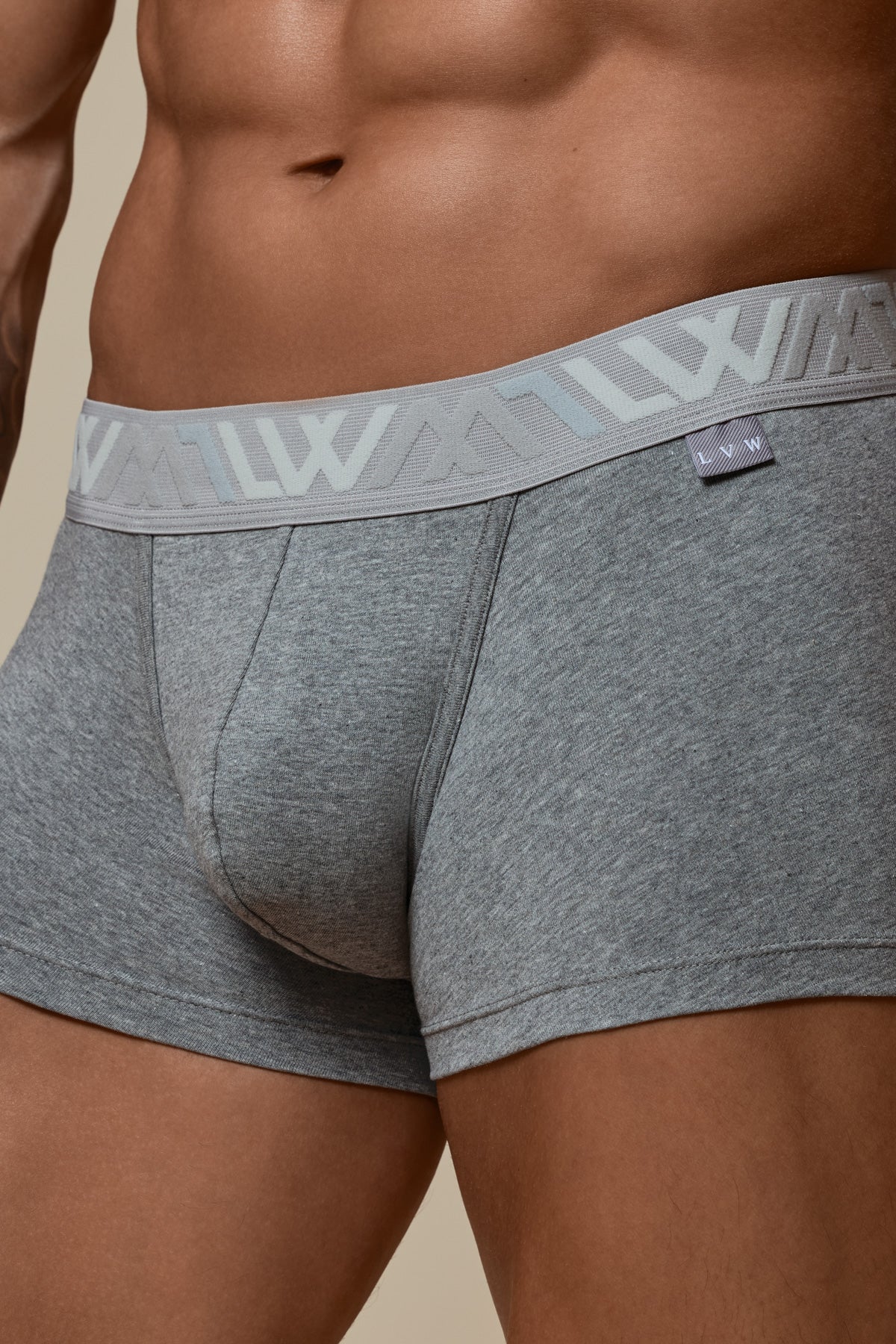 VISIBLY TRUNK COTTON STRETCH - GREY MELANGE