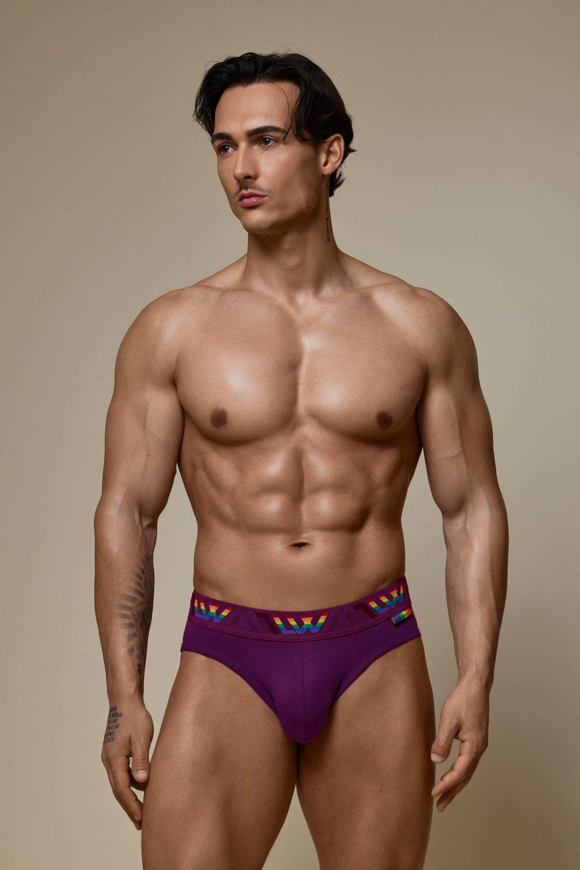 VISIBLY BIKINI BRIEF PRIDE - PURPLE
