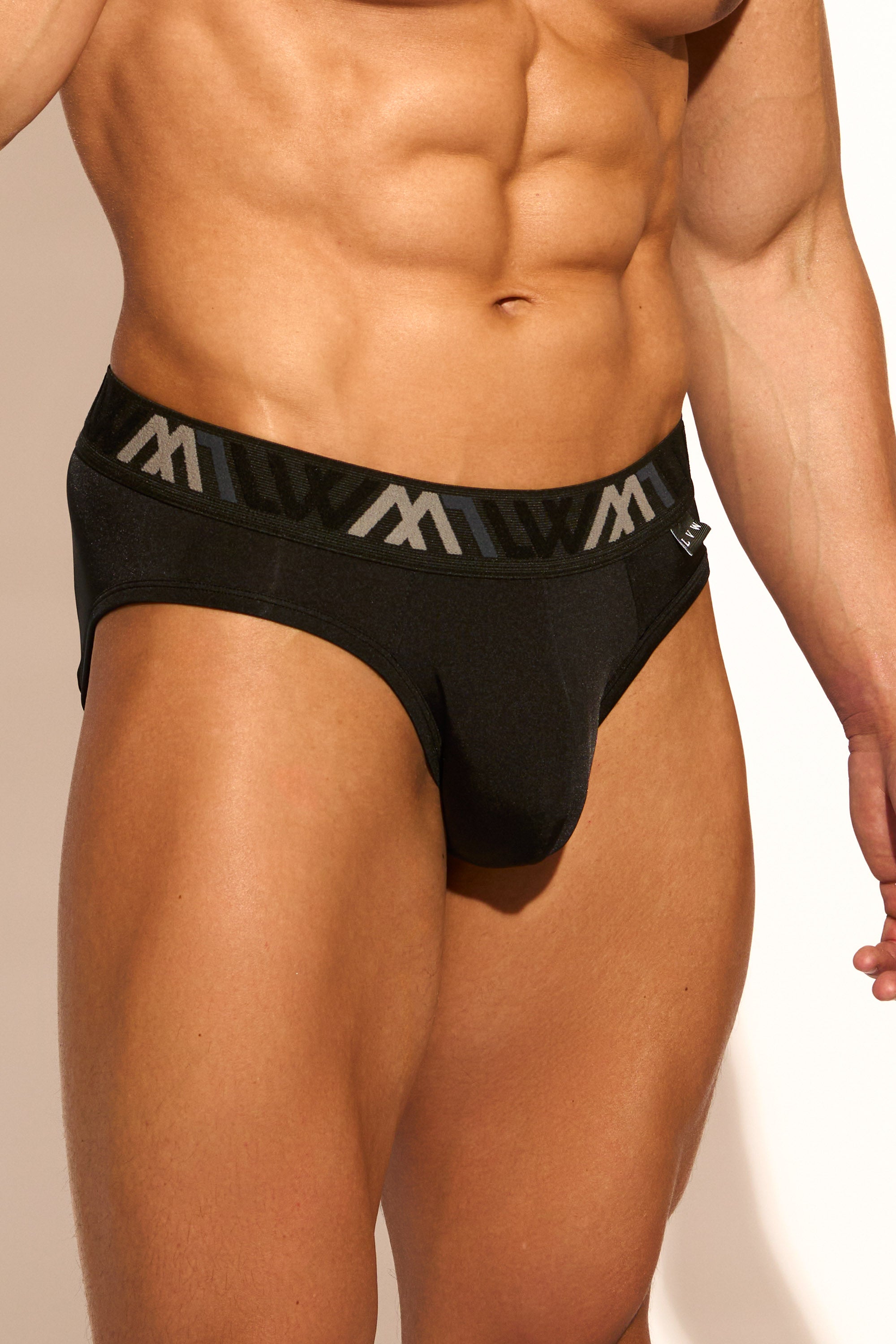 SIGNATURE BIKINI BRIEF - BLACK – LVW