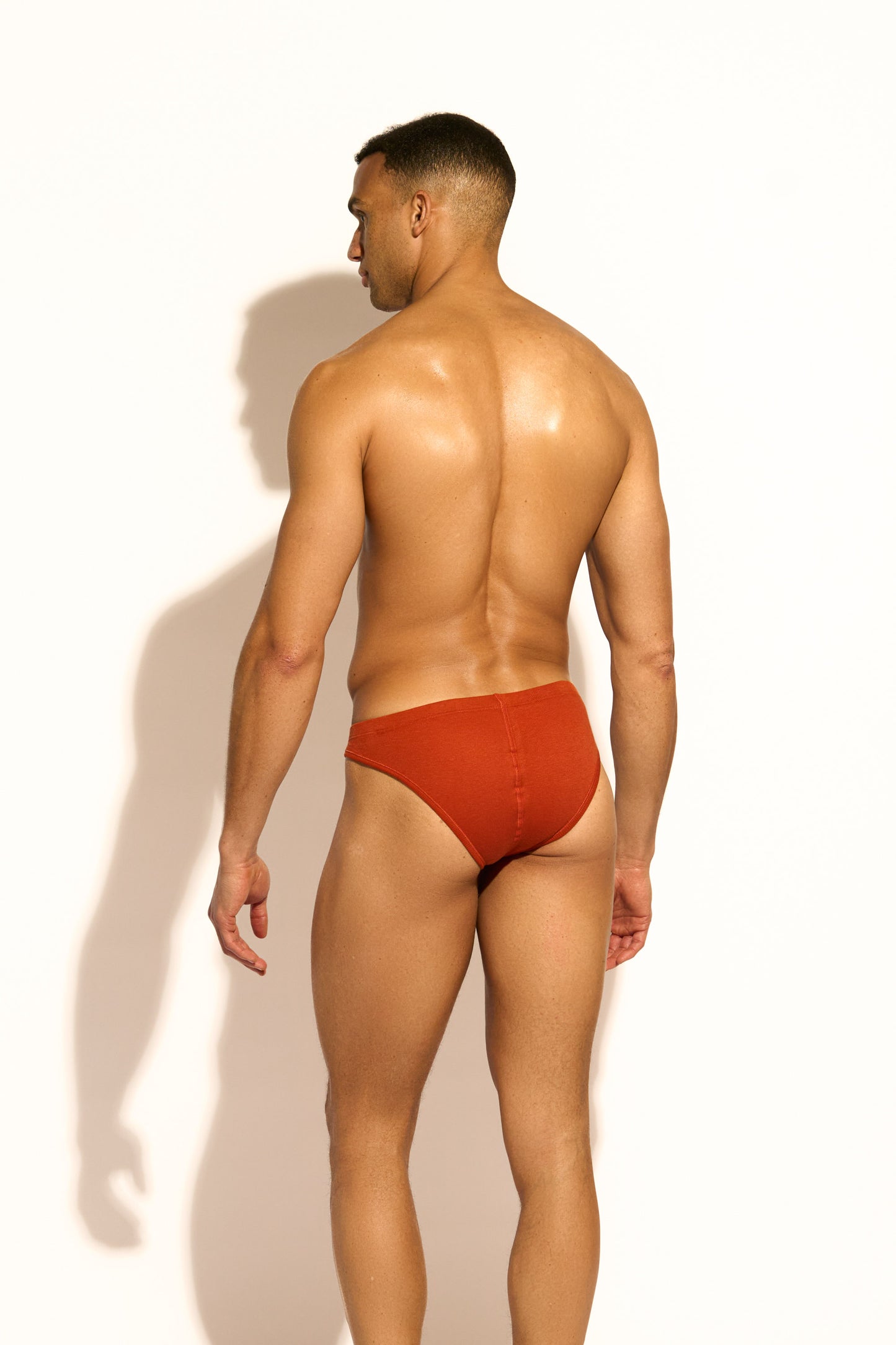 ESSENTIAL MICRO BRIEF - CINNAMON
