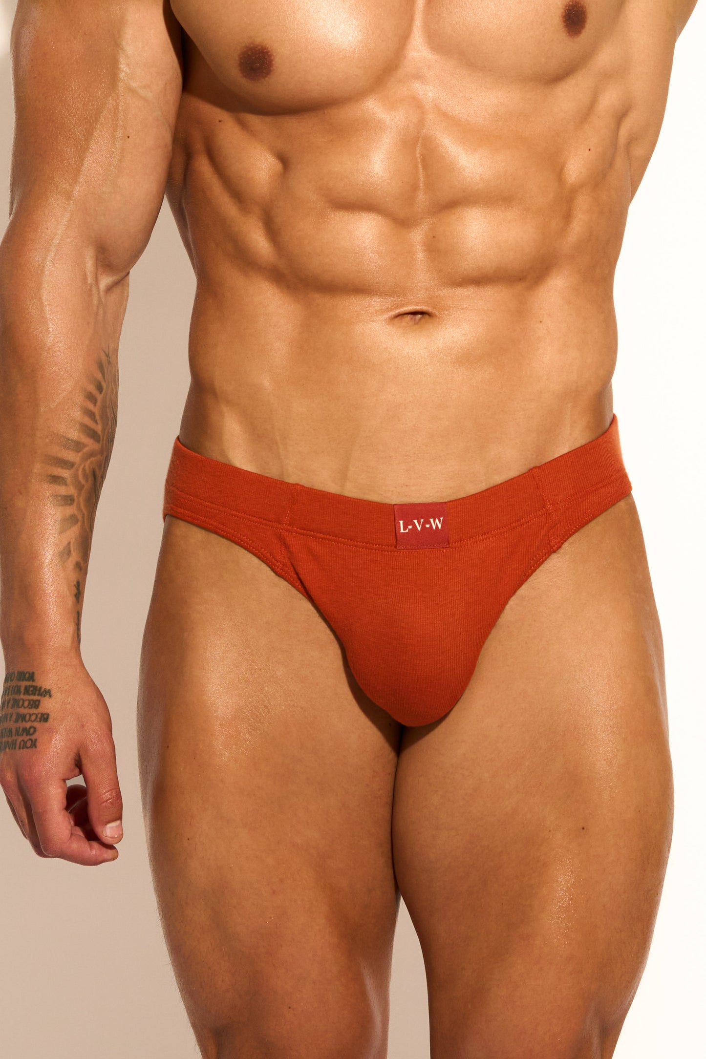 ESSENTIAL BIKINI BRIEF - CINNAMON