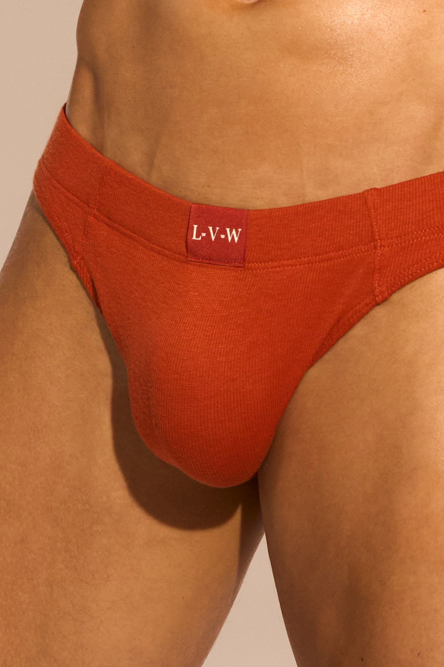 ESSENTIAL BIKINI BRIEF - CINNAMON