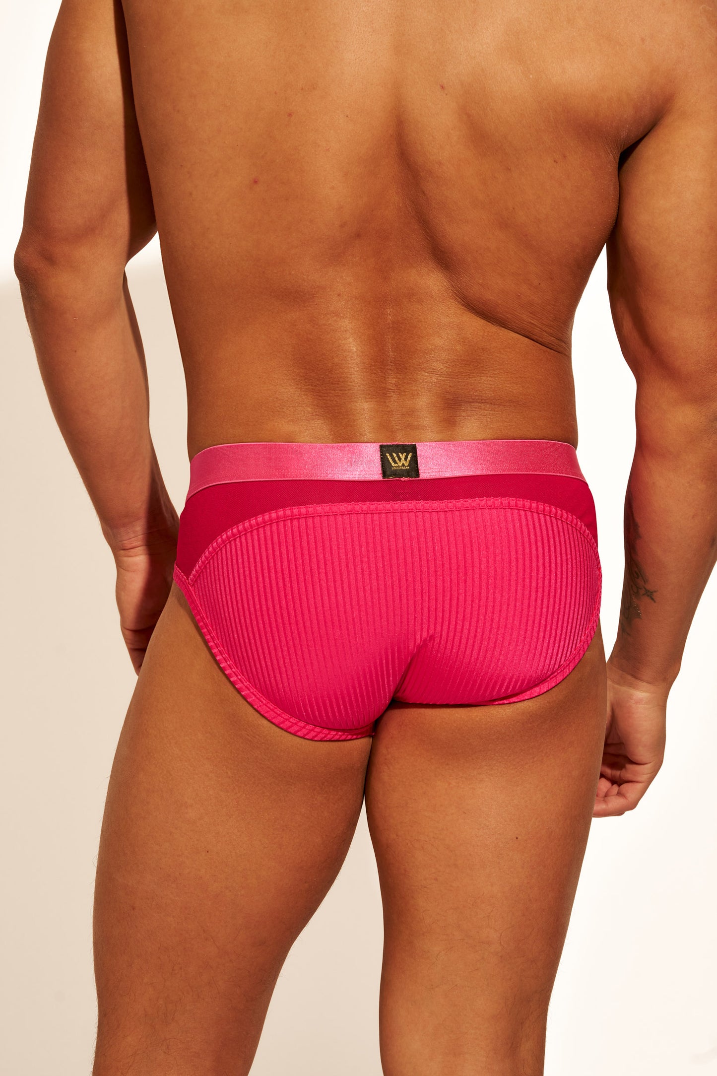 ALLURING MESH BRIEF - HOT PINK