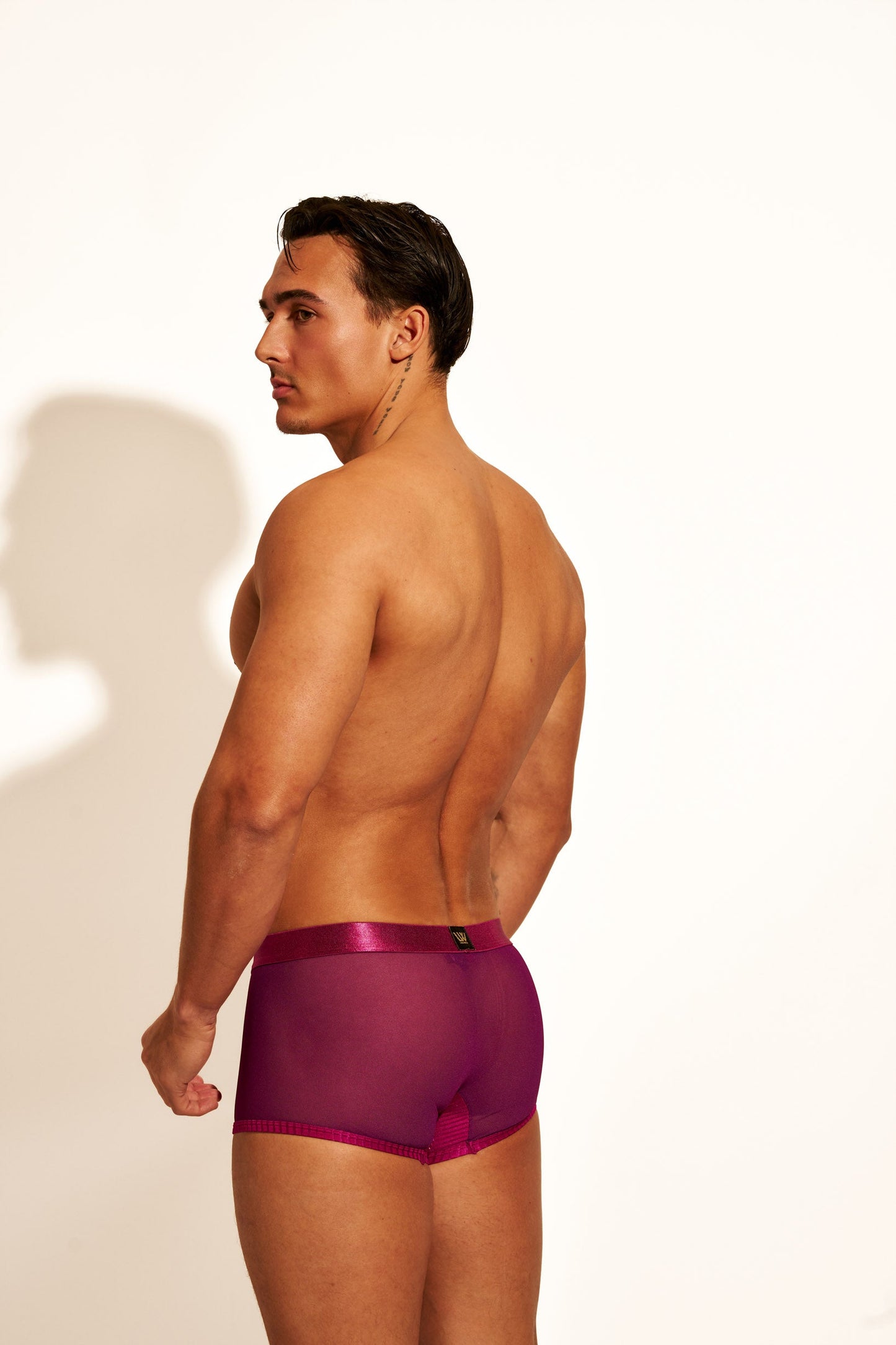 THE MESH AFFAIR TRUNKS (5-PACK)