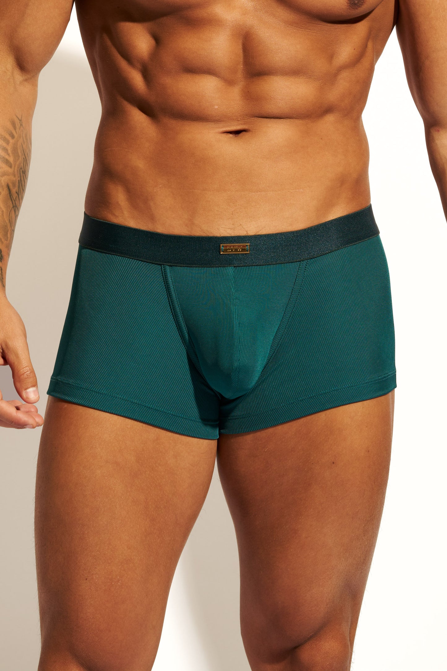 GOLD TRUNK CONTOUR - DEEP TEAL