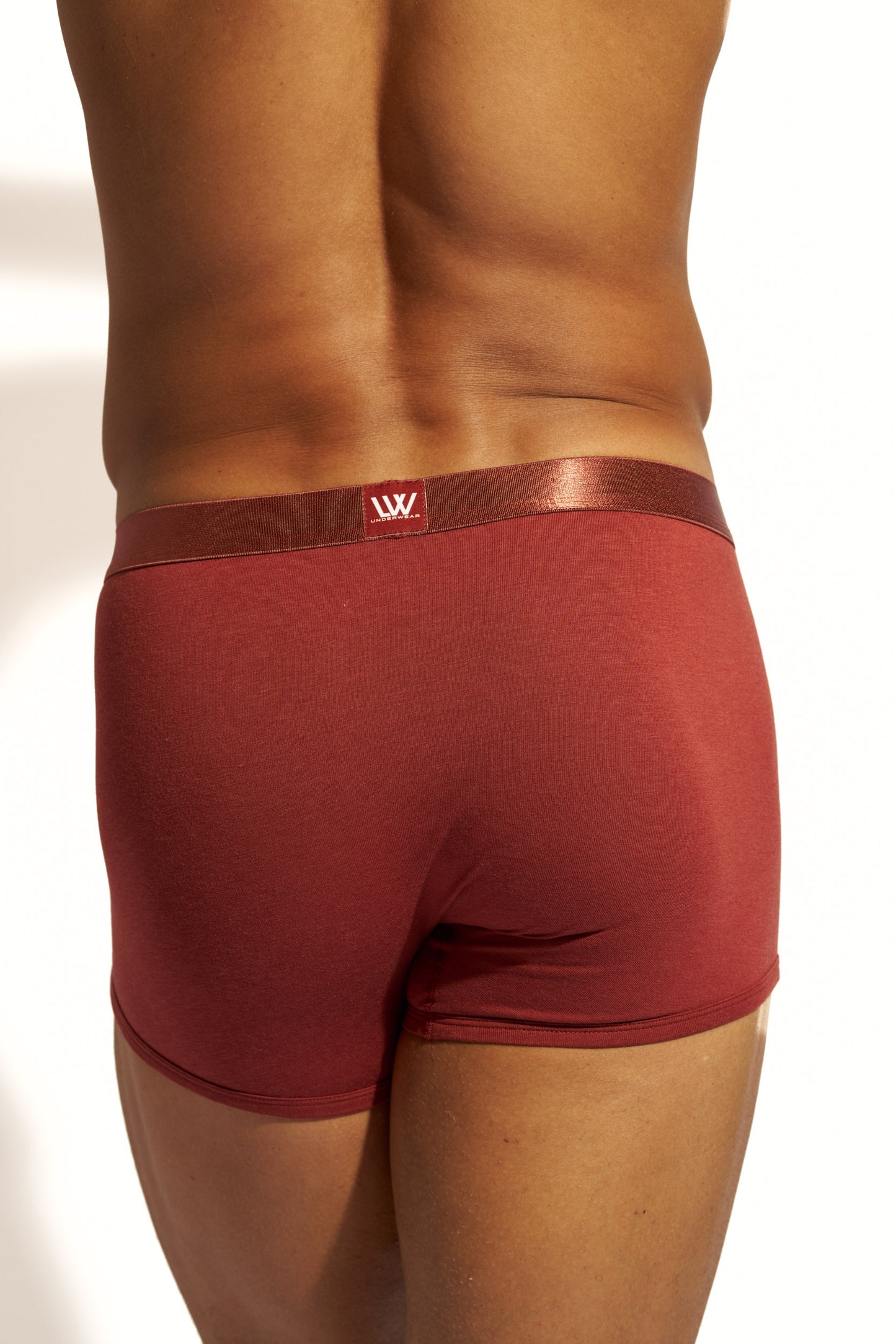 MINIMALISTIC SILK BOXER BRIEF - BRANDY SNIFTER