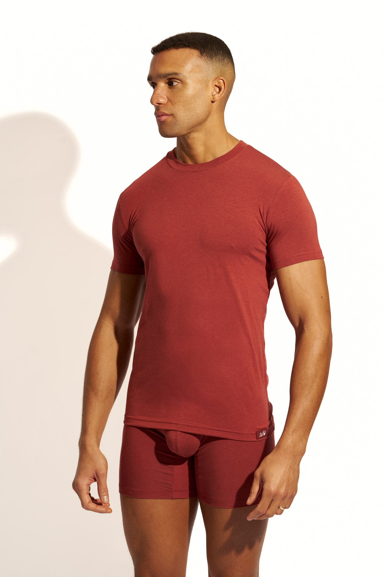 MINIMALISTIC SILK T-SHIRT SLIM FIT - BRANDY SNIFTER