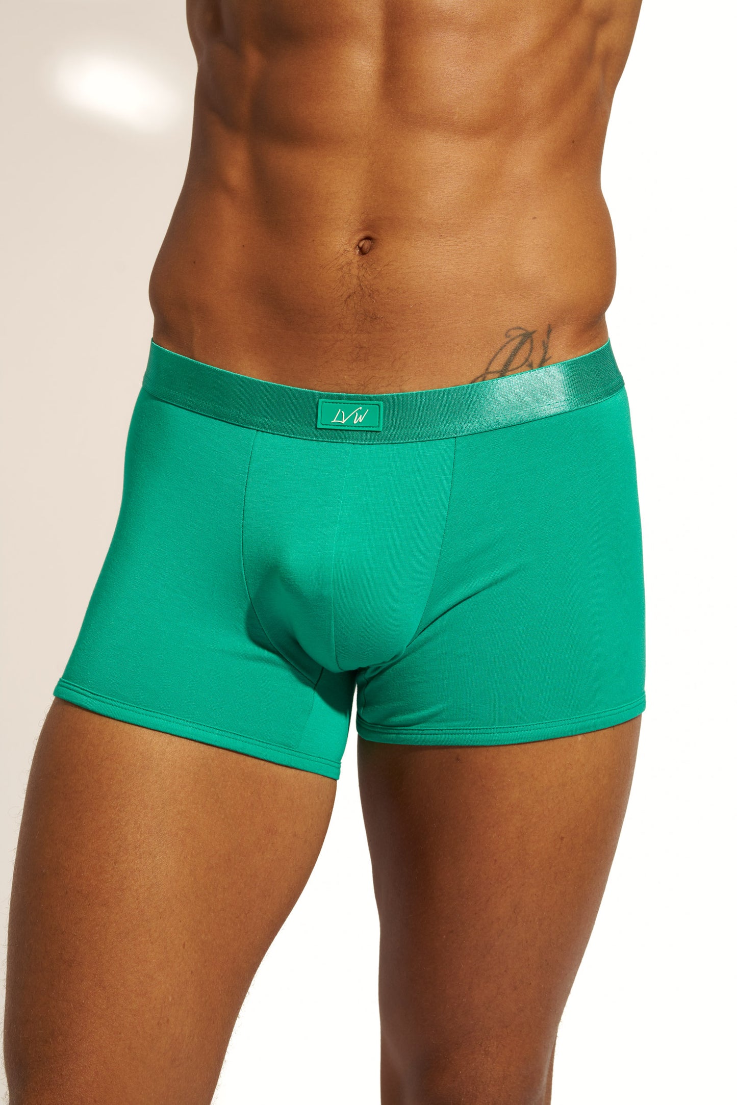 MINIMALISTIC SILK BOXER BRIEF - EMERALD