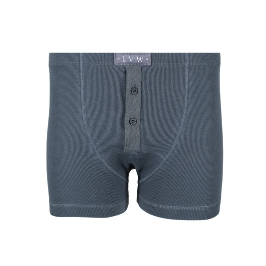 LVW ESSENTIAL BOXER BRIEF - Dark Slate