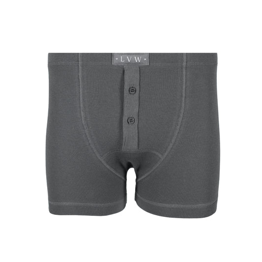 LVW ESSENTIAL BOXER BRIEF - Volcanic Ash
