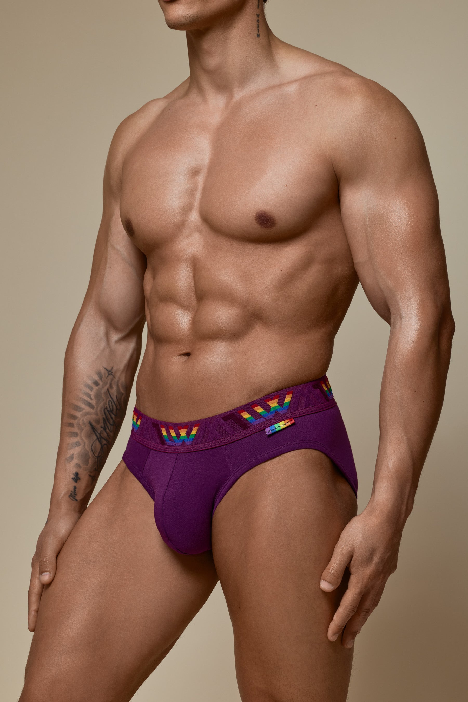 VISIBLY BIKINI BRIEF PRIDE - PURPLE