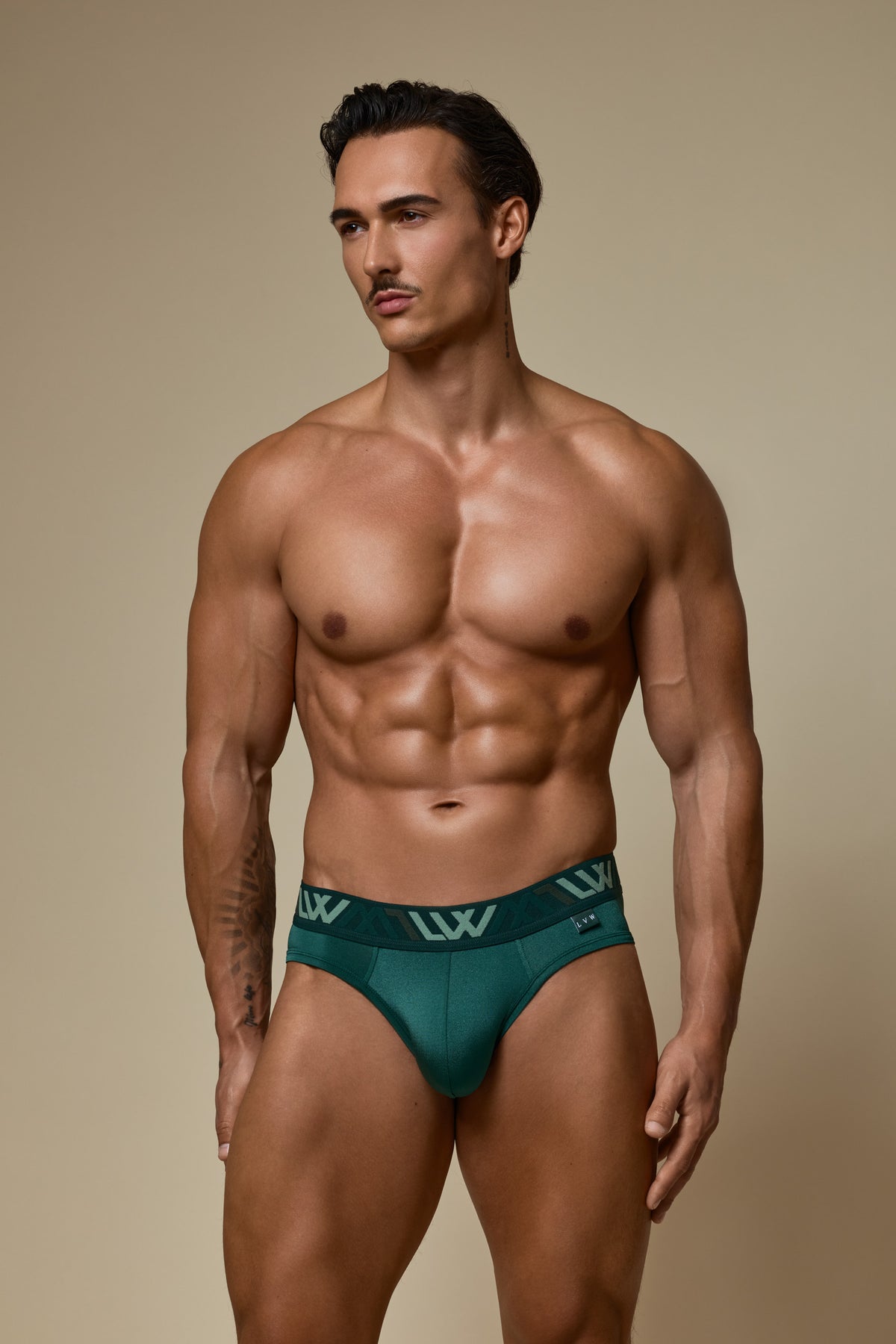 VISIBLY BIKINI BRIEF RENEW SHINE - DEEP EMERALD