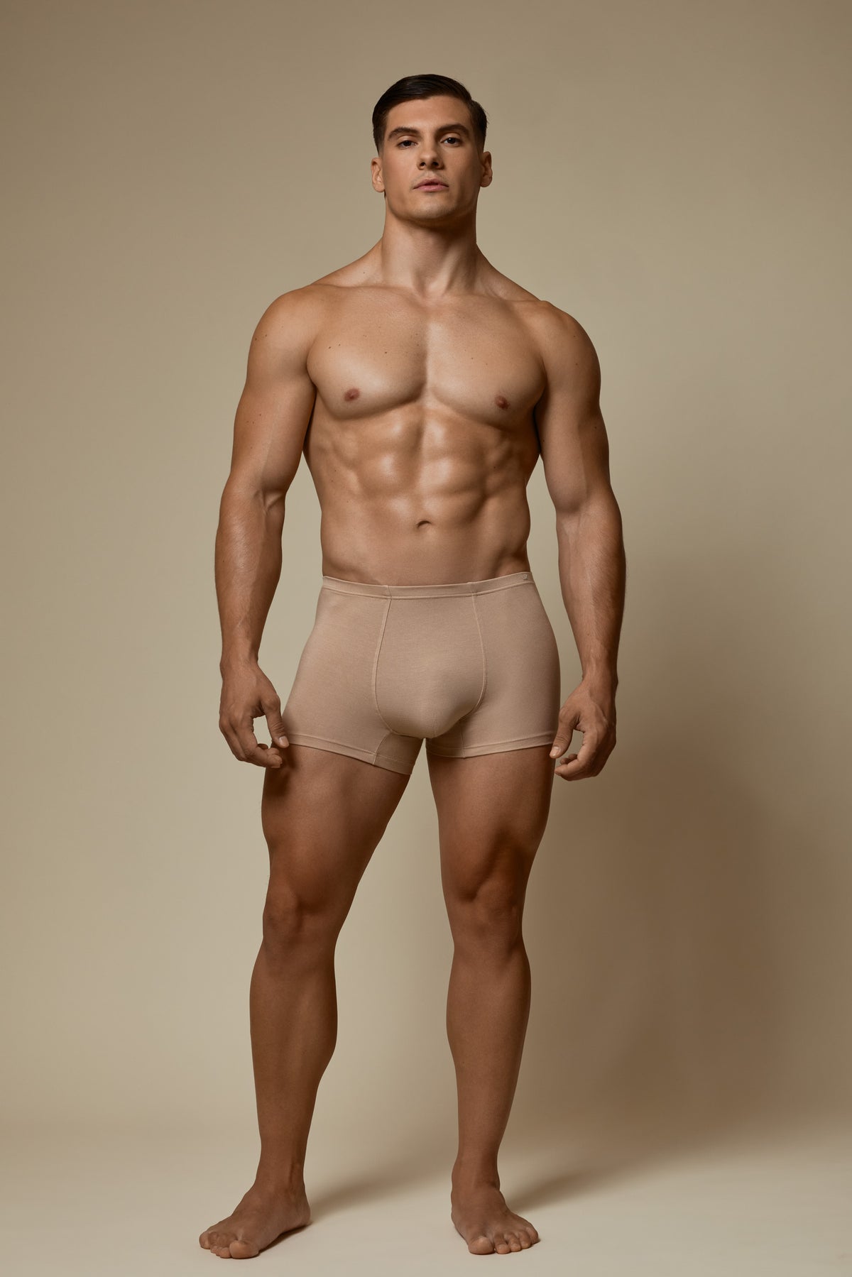 WHISPER BOXER BRIEF SECOND SKIN - DUNE