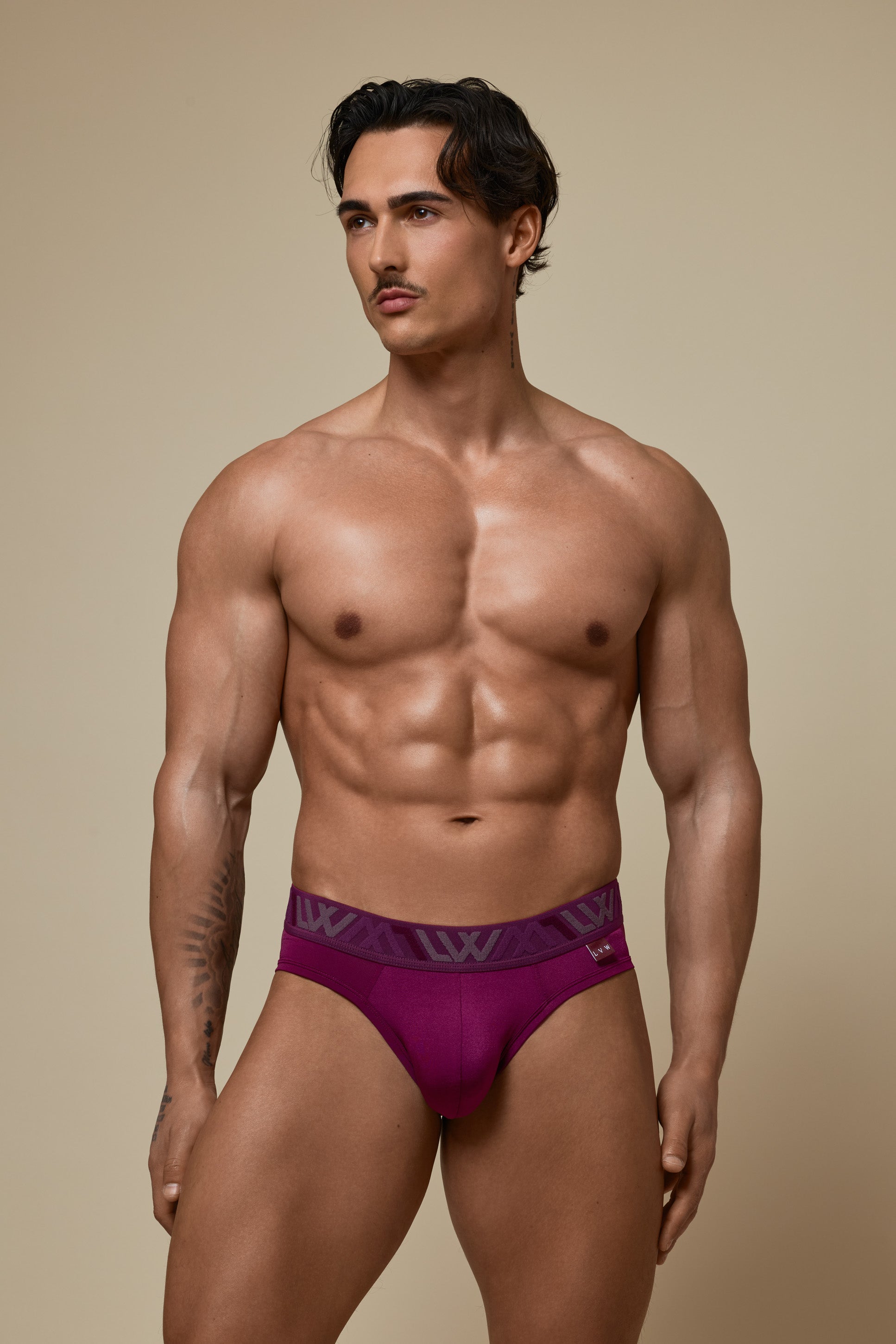VISIBLY BIKINI BRIEF RENEW SHINE - DEEP PLUM