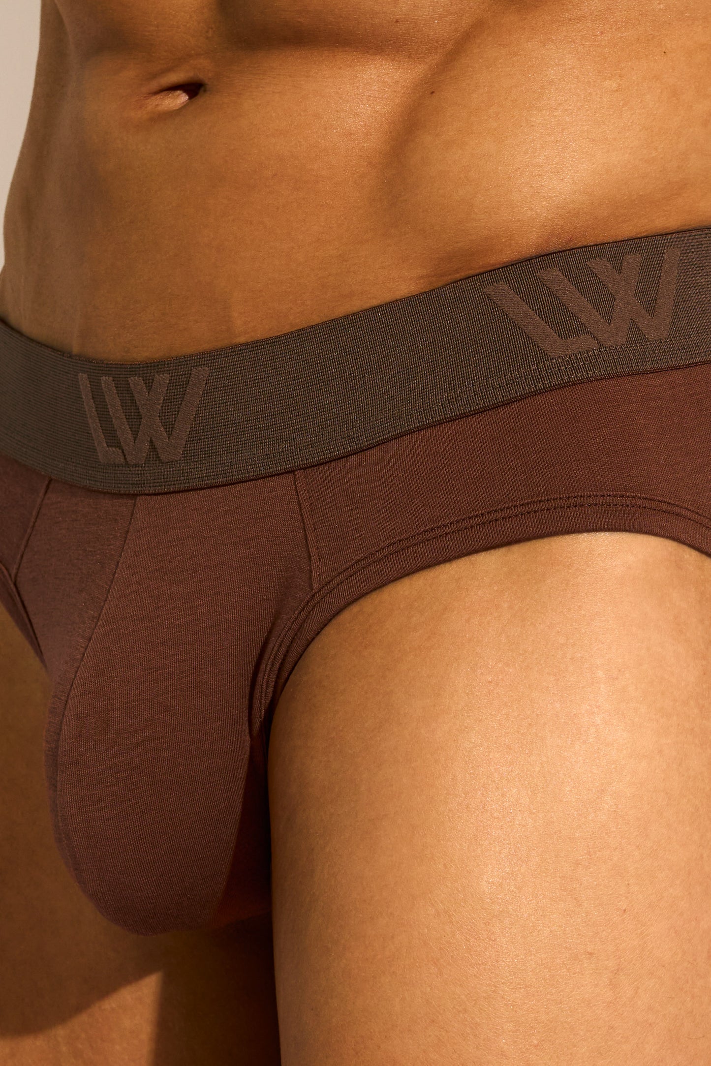 SKIN BIKINI BRIEF - CAPPUCCINO