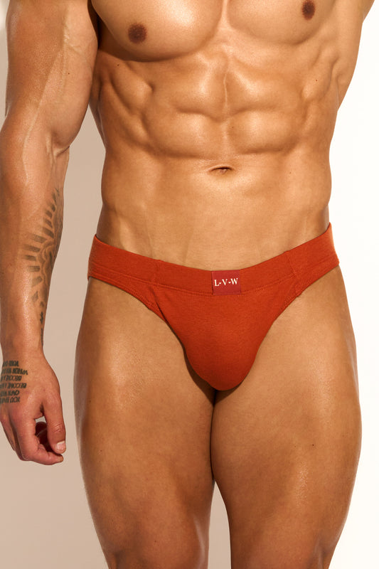 ESSENTIAL BIKINI BRIEF - CINNAMON