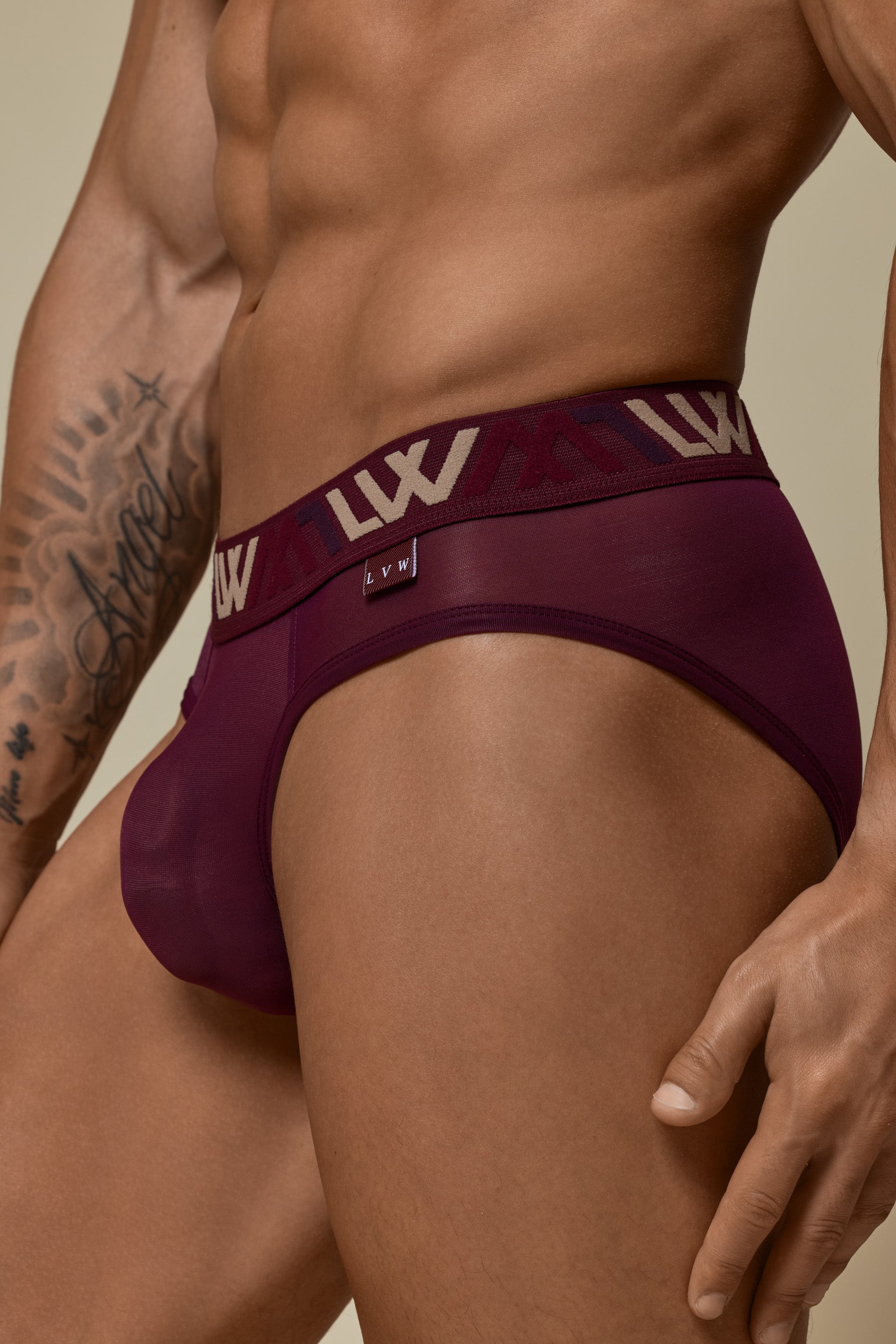 VISIBLY BIKINI BRIEF MESH - BLACKBERRY