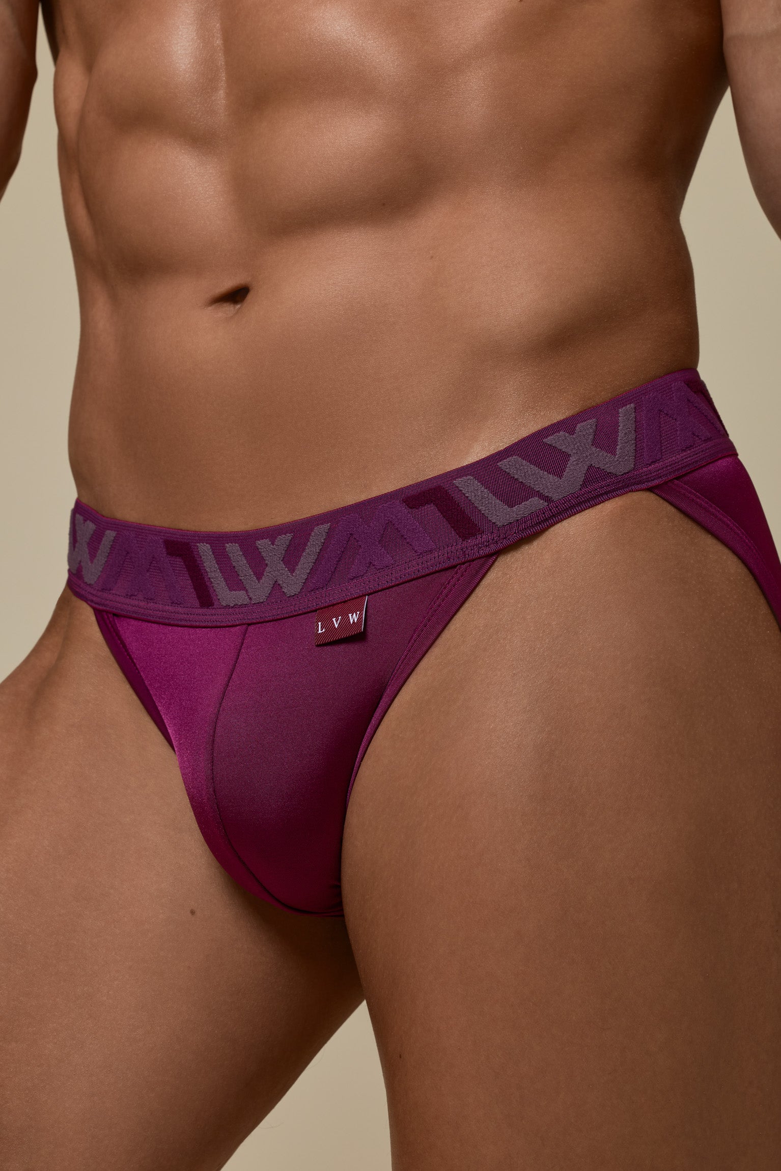VISIBLY SPORT BRIEF RENEW SHINE - DEEP PLUM