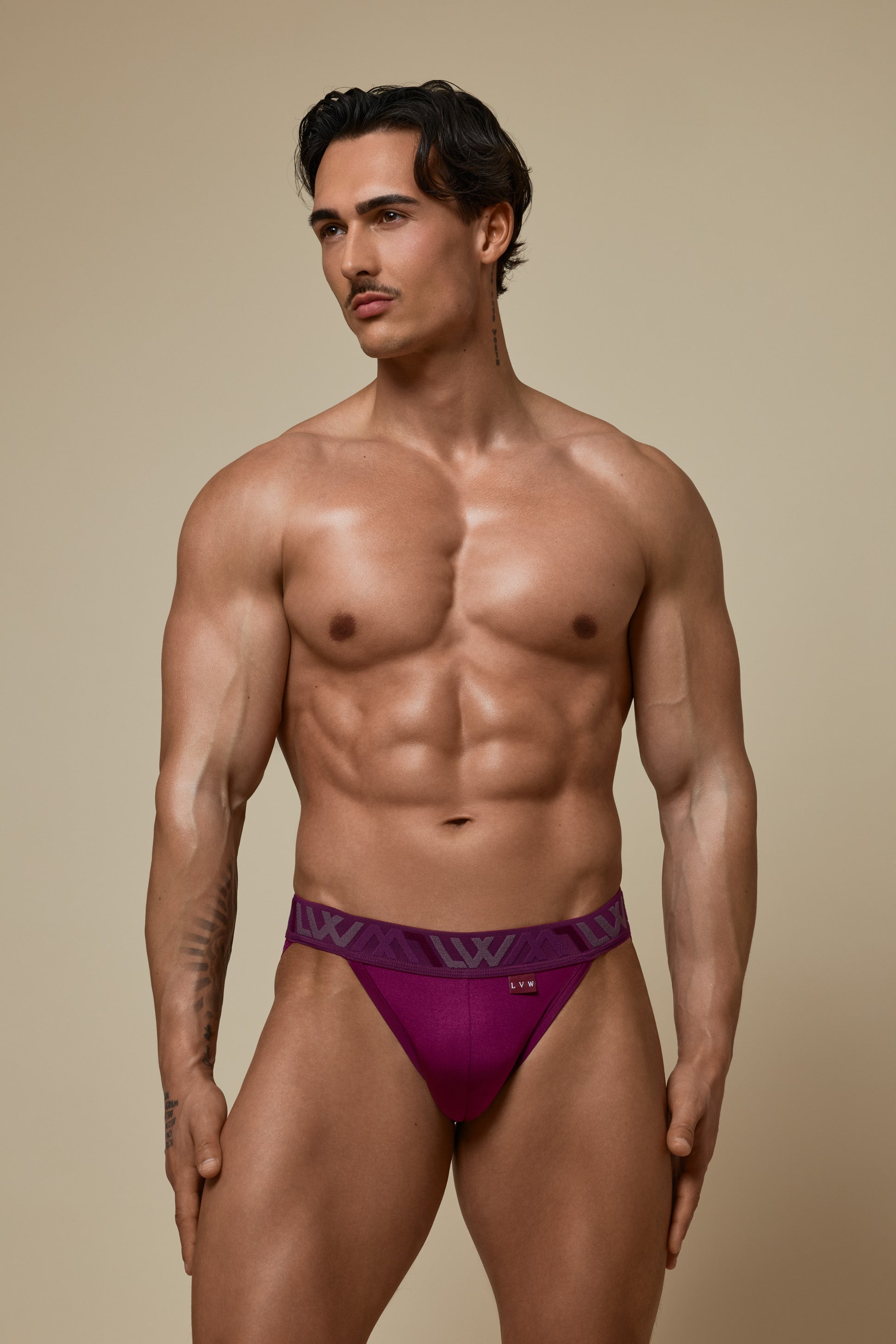 VISIBLY SPORT BRIEF RENEW SHINE - DEEP PLUM