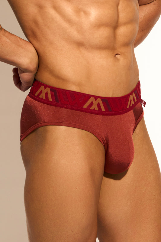 SIGNATURE BIKINI BRIEF - BRANDY SNIFTER
