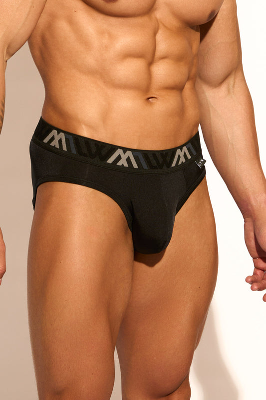 SIGNATURE BIKINI BRIEF - BLACK