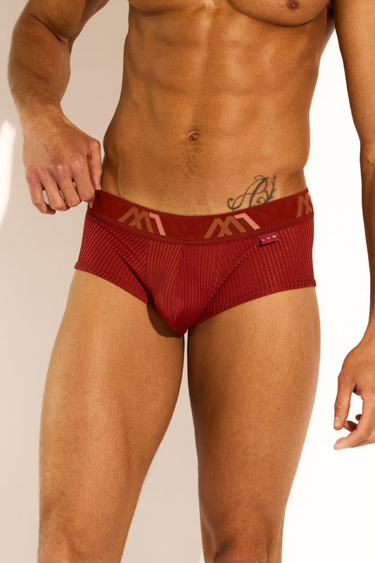 SIGNATURE EXCLUSIVE HYBRID TRUNK - BURGUNDY