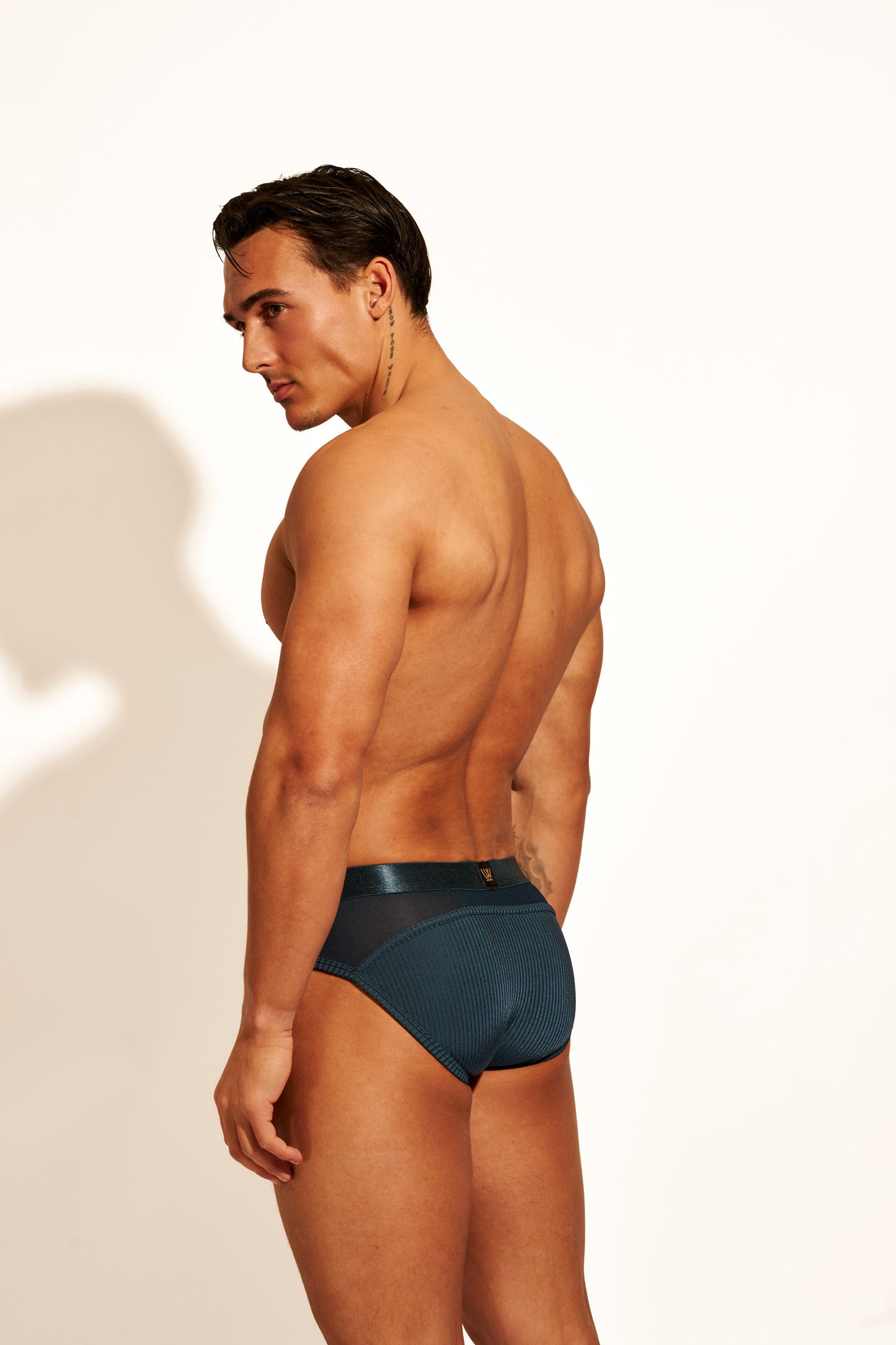 ALLURING MESH BRIEF - FRENCH NAVY