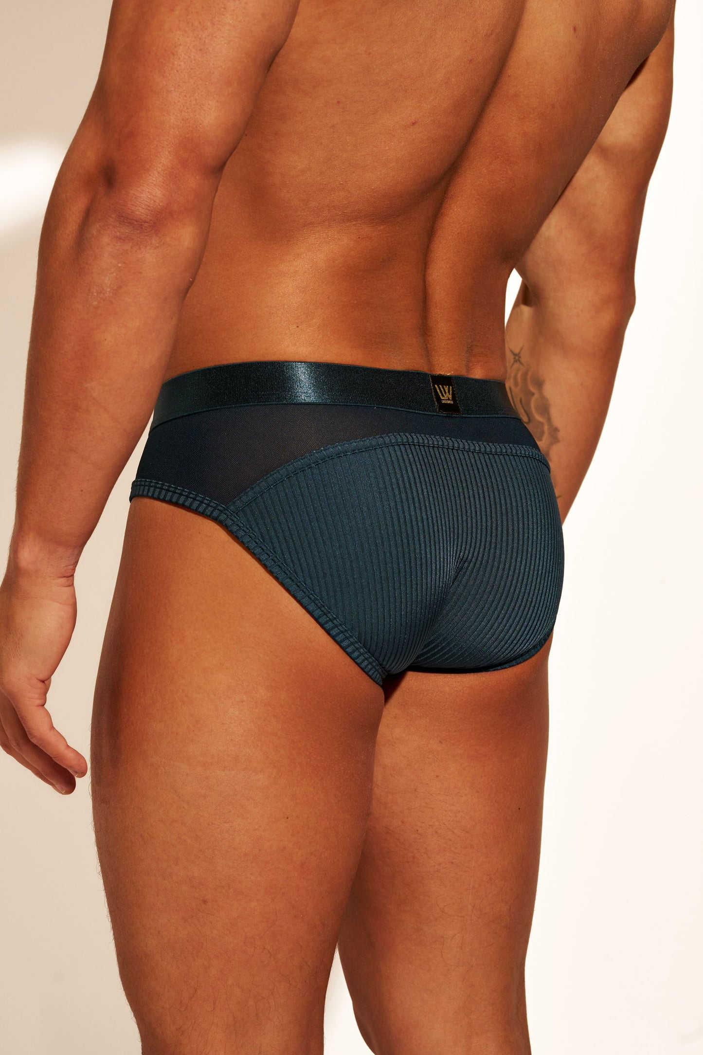 THE MESH AFFAIR BRIEFS (5-PACK)