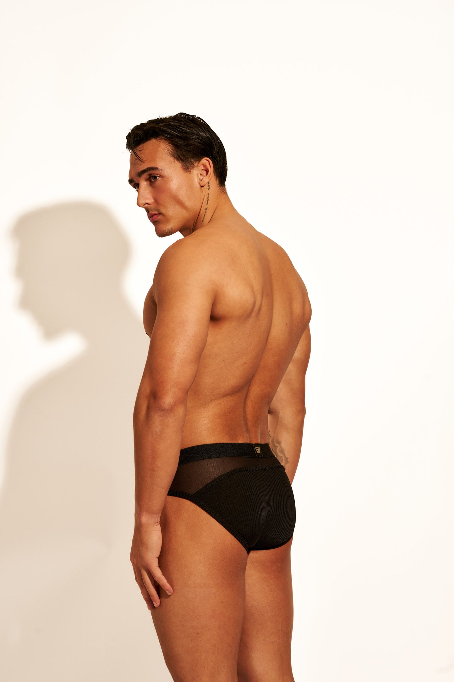 ALLURING MESH BRIEF - BLACK