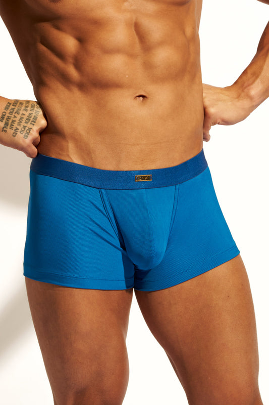 GOLD TRUNK CONTOUR - CLASSIC BLUE