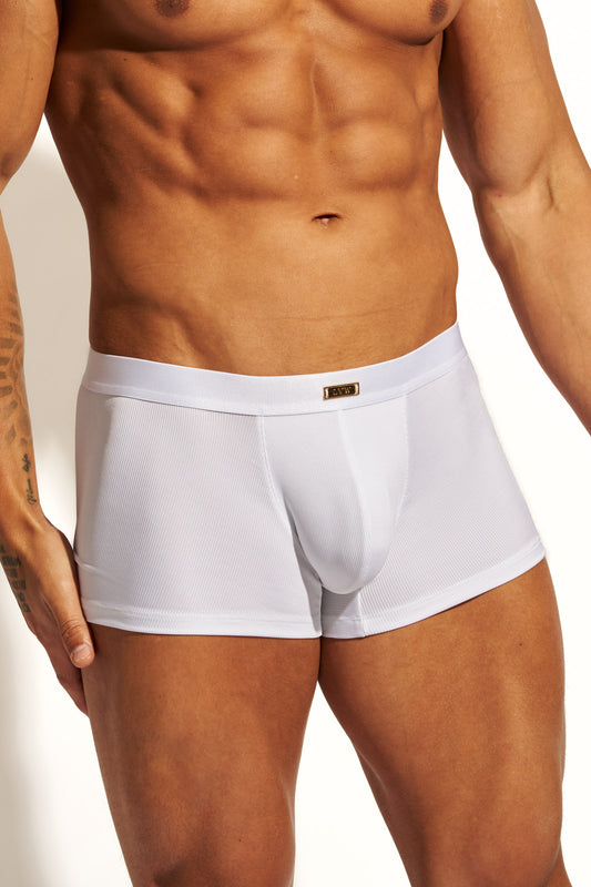 GOLD TRUNK CONTOUR - WHITE