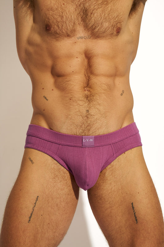 ESSENTIAL EXCLUSIVE BIKINI BRIEF - WINE
