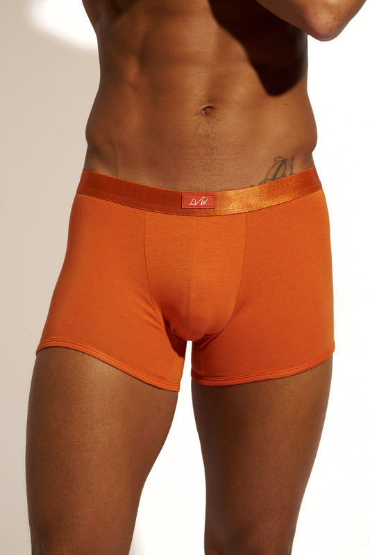 MINIMALISTIC SILK BOXER BRIEF - BURNT ORANGE