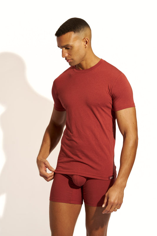 MINIMALISTIC SILK T-SHIRT SLIM FIT - BRANDY SNIFTER