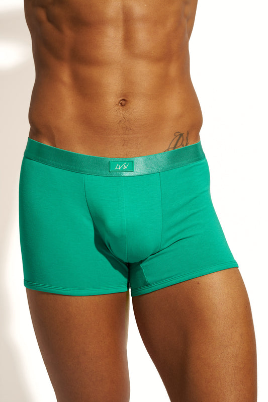 MINIMALISTIC SILK BOXER BRIEF - EMERALD
