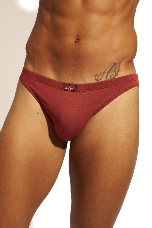 MINIMALISTIC SILK MICRO BRIEF - BRANDY SNIFTER