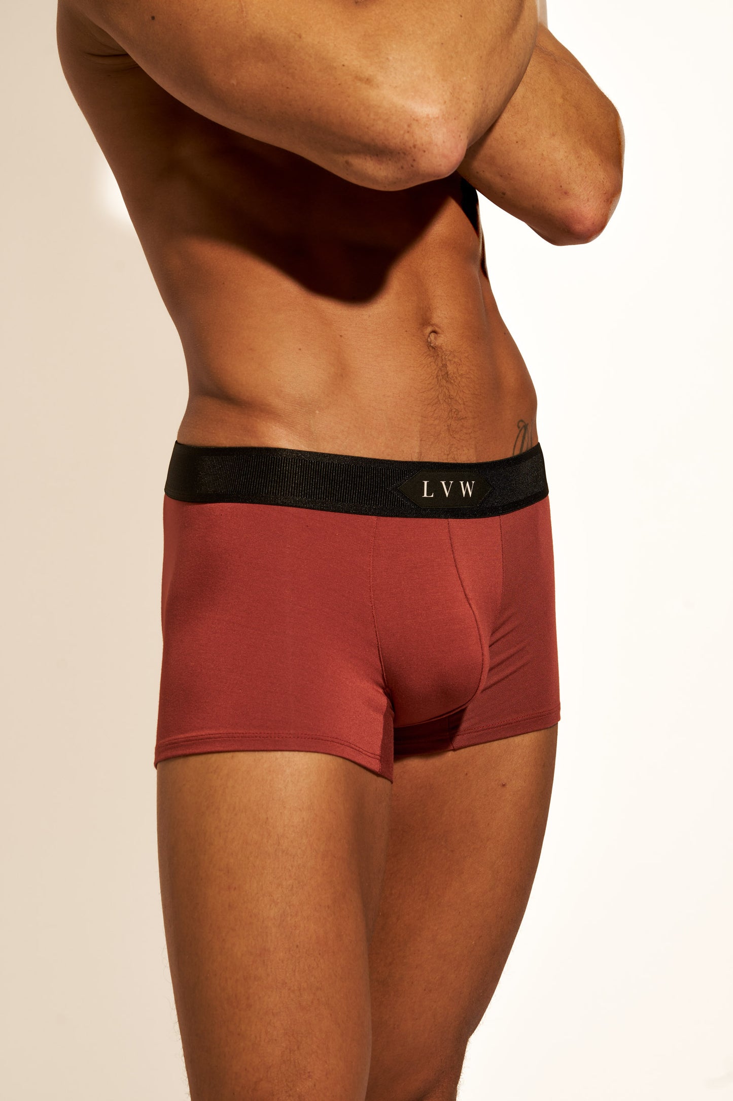 PREMIUM TRUNK - BRANDY SNIFTER