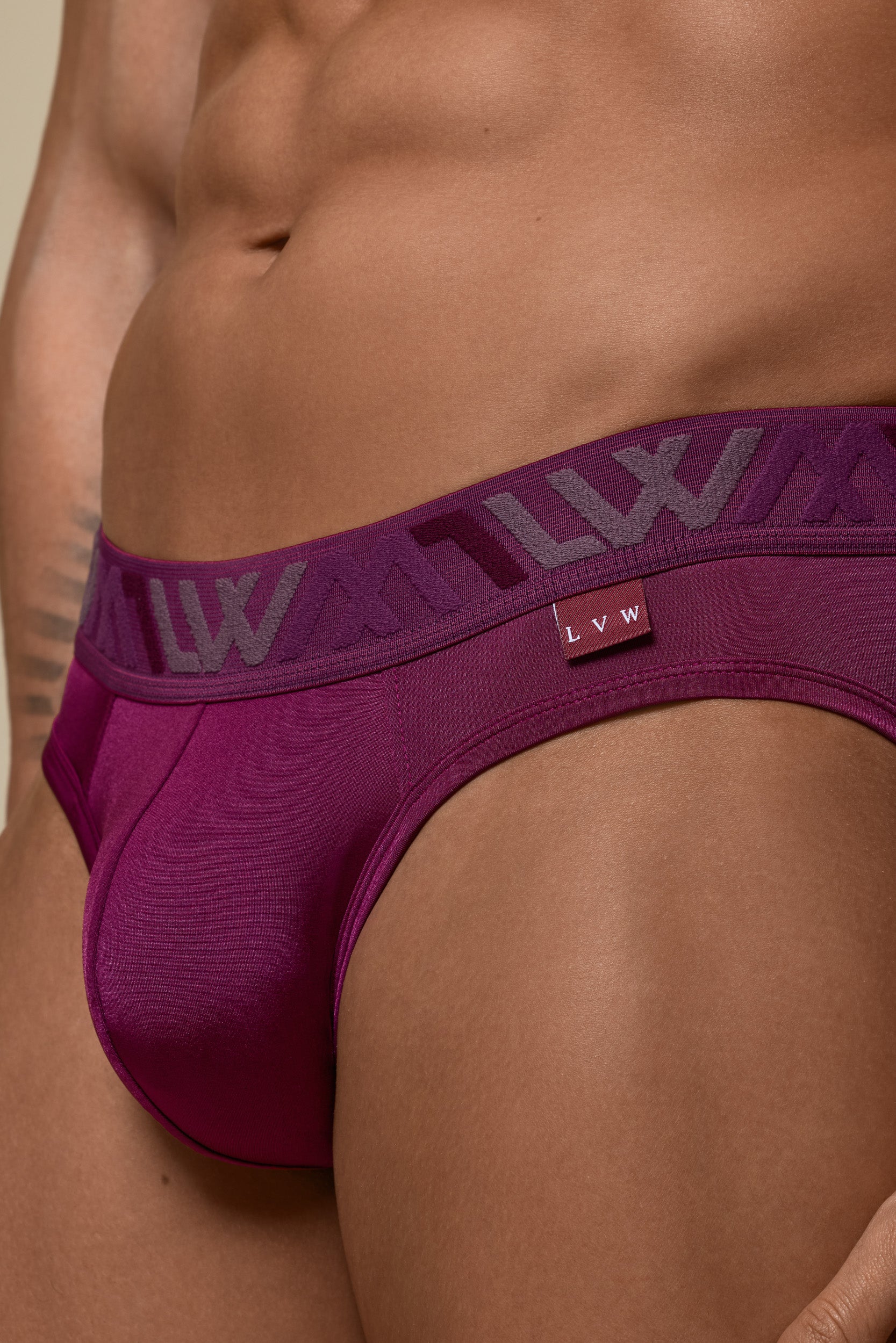 VISIBLY BIKINI BRIEF RENEW SHINE - DEEP PLUM